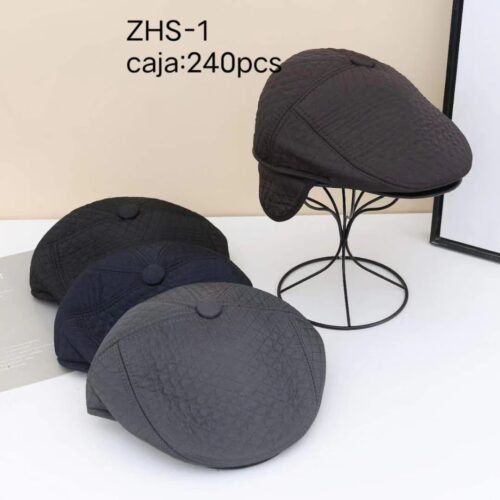 Boinas de Hombre