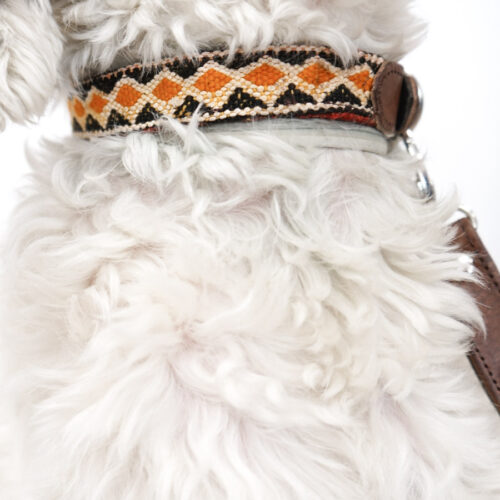 Correa Perro Estampado Étnico Piel