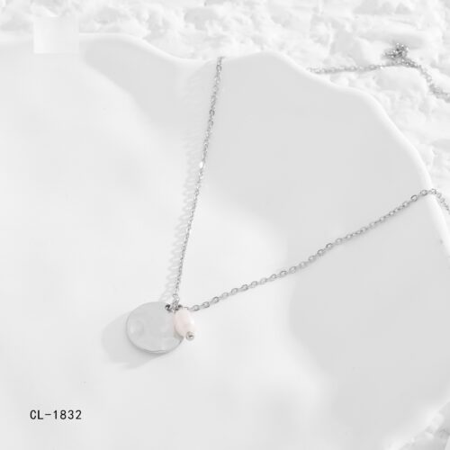 Collar Acero Plateado Moneda