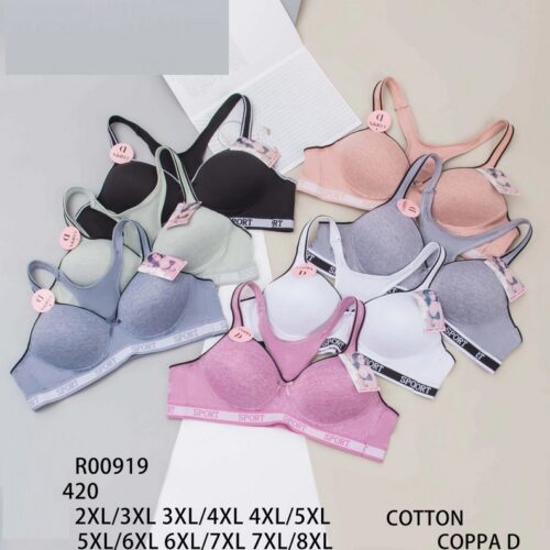 Sujetador Básico Espalda Cruzada Copa D