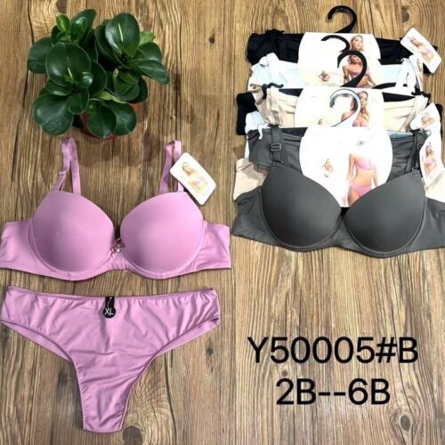 Conjunto Liso Sujetador Copa B y Braga