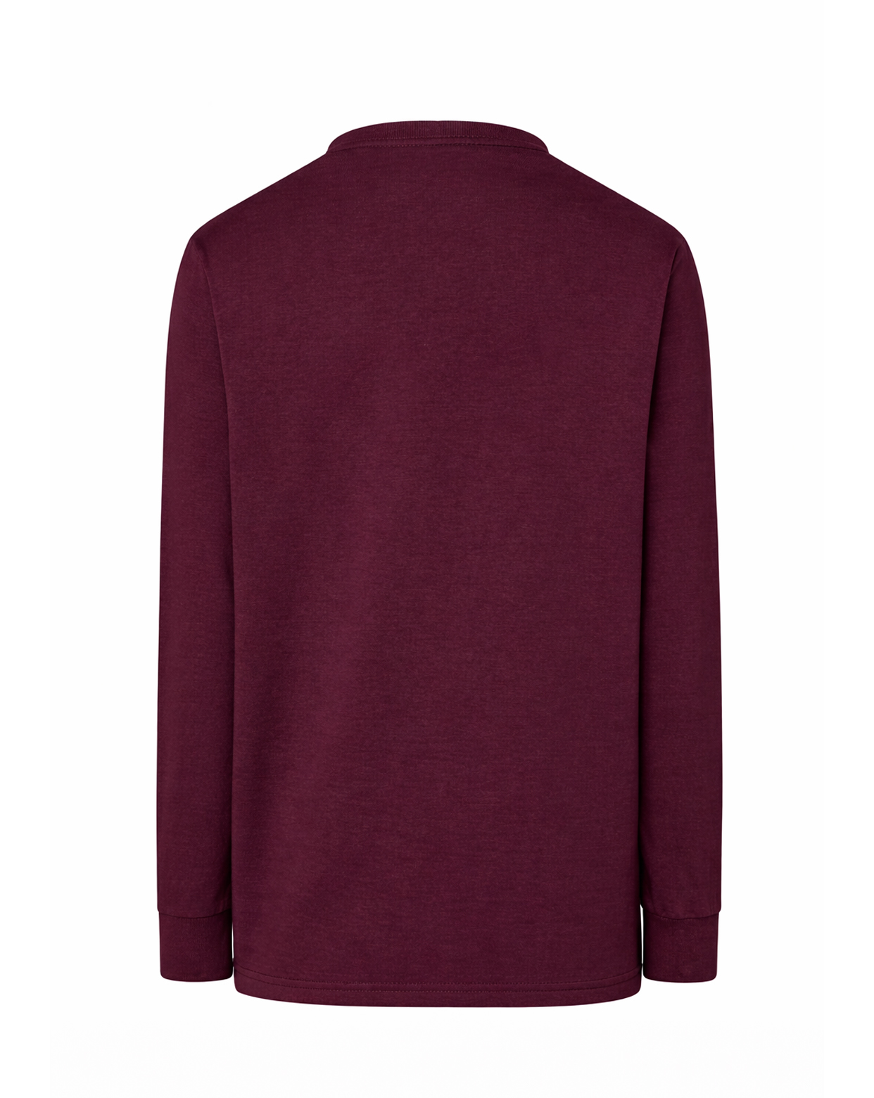 jhktshirt_tsra170ls_ca_back Camiseta Manga Larga Regular Hit T-Shirt LS Hombre - Imagen 31