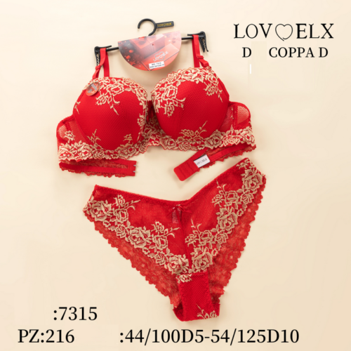 Conjunto  Rojo Encaje Sujetador  y Braga Copa D